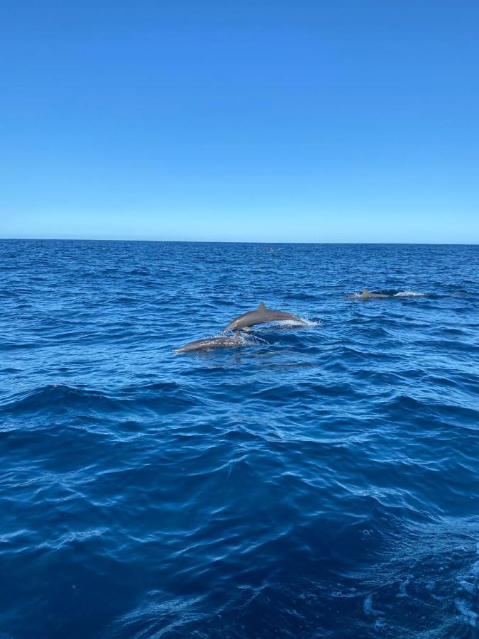 Boutique Hotel Luna Azul Ostional Wildlife Refuge Εξωτερικό φωτογραφία